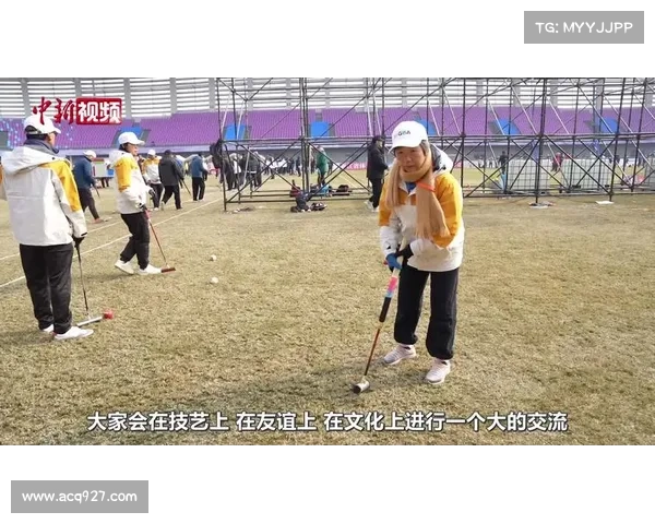 门球锦标赛 门球锦标赛