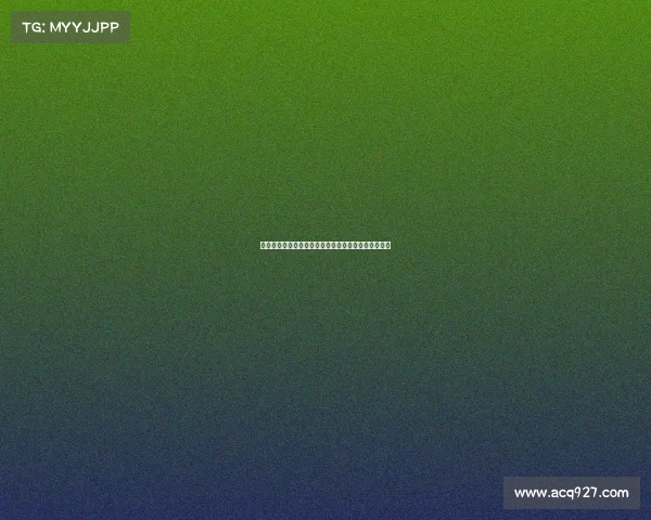 二零一八年女排世界锦标赛中国女排顽强拼搏荣耀征程